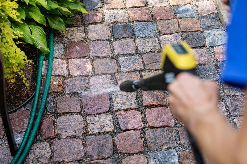 Detailed Paver Cleaning